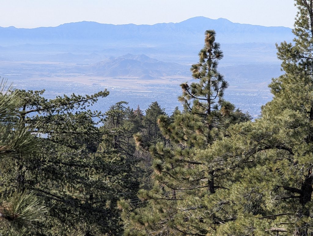 There is a beautiful forest landscape in Idyllwild, CA this photo taken by NeNe's husband. There are very tall trees in the front and mountains in the distance.
